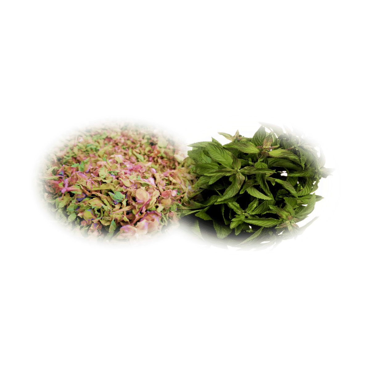 TOFILLO Wellness (borsmenta & bodorrózsa) krétai teakeverék, 22 gr