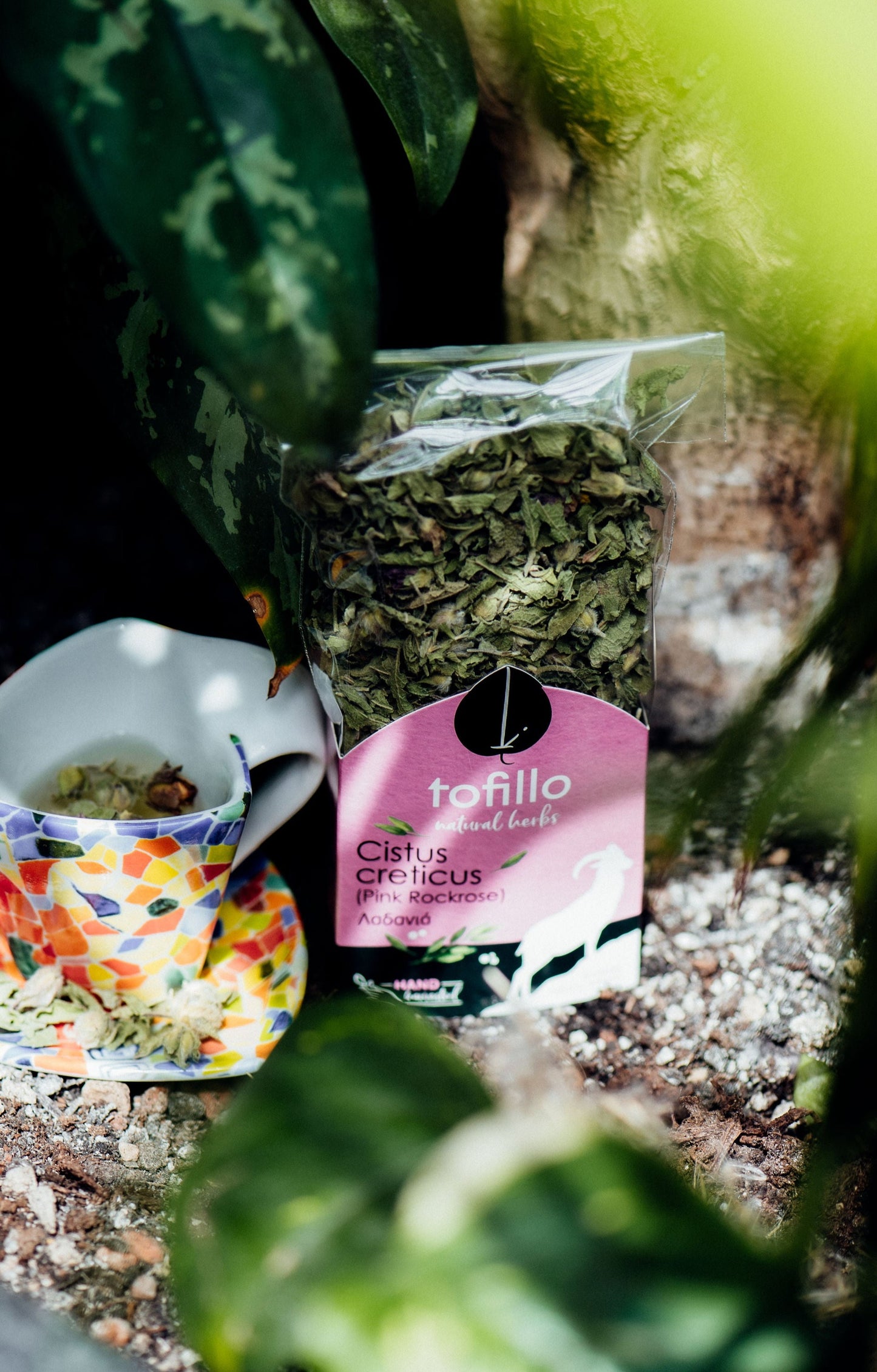 TOFILLO natural krétai bodorrózsa tea, 30 gr